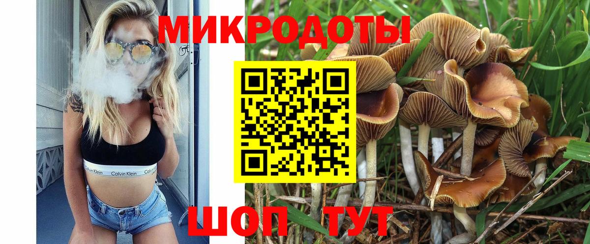 Камень-на-Оби  Псилоцибиновые грибы мицелий  Вход с VPN  Псилоцибиновые грибы мухоморы 
